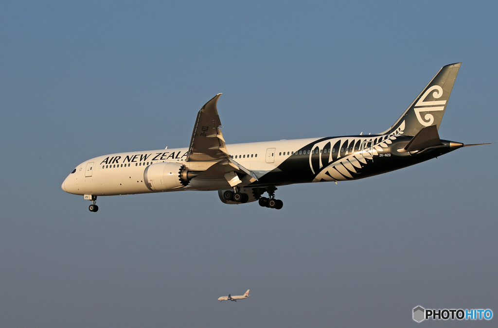 「すかい」 NZ' 787-9  ZK-NZD 到着です