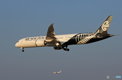 「すかい」 NZ' 787-9  ZK-NZD 到着です