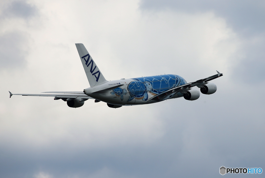 「青色が好き」Flying Honu A380-841  Takeoff  