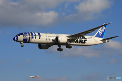 「空色」 STAR WARS 787-8 JA873A  Landing 