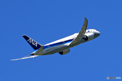 「良い空～」ANA 787-8 JA805A 飛行 