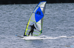 「Blue」疾走！　ウインドサーフィン