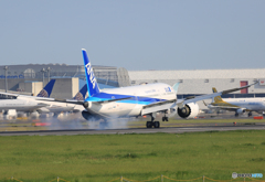 「空色」 ANA 787-9 JA871A到着しました