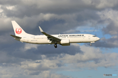「ぶるー」 JAL 737-800 JA321J Landing