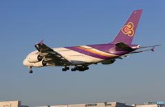 「青い日」 Thai A380-841 HS-TUC 着地前