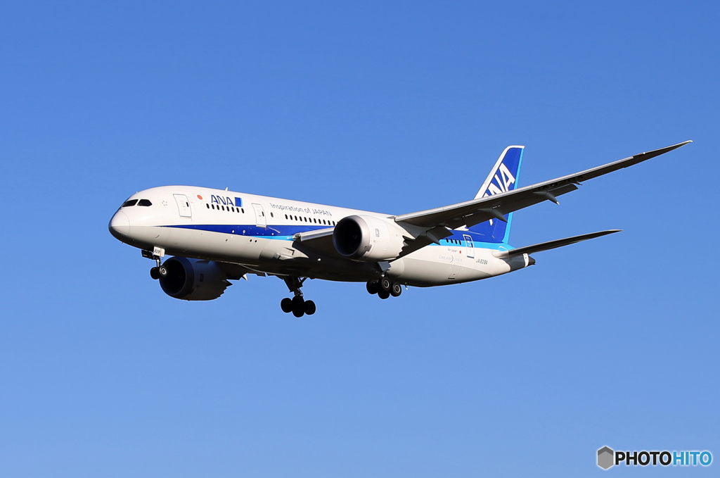「あおぞら」ANA 787-8 JA828A 到着です