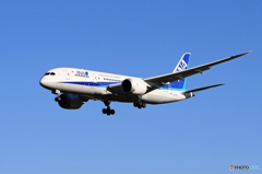 「あおぞら」ANA 787-8 JA828A 到着です