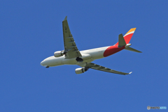 「真青の空」 Iberia A330-202 EC-MLP 飛ぶ