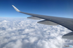 「青色」 Lufthansa A350-941 良い雲