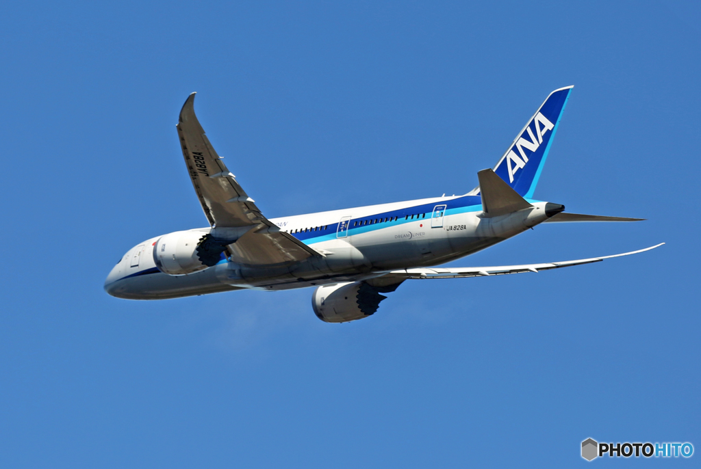 「ぶるー」 ANA 787-8 JA828A 出発