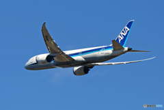 「ぶるー」 ANA 787-8 JA828A 出発