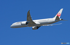 「青が大好き」☀ JAL 787-9 JA861J 出発です