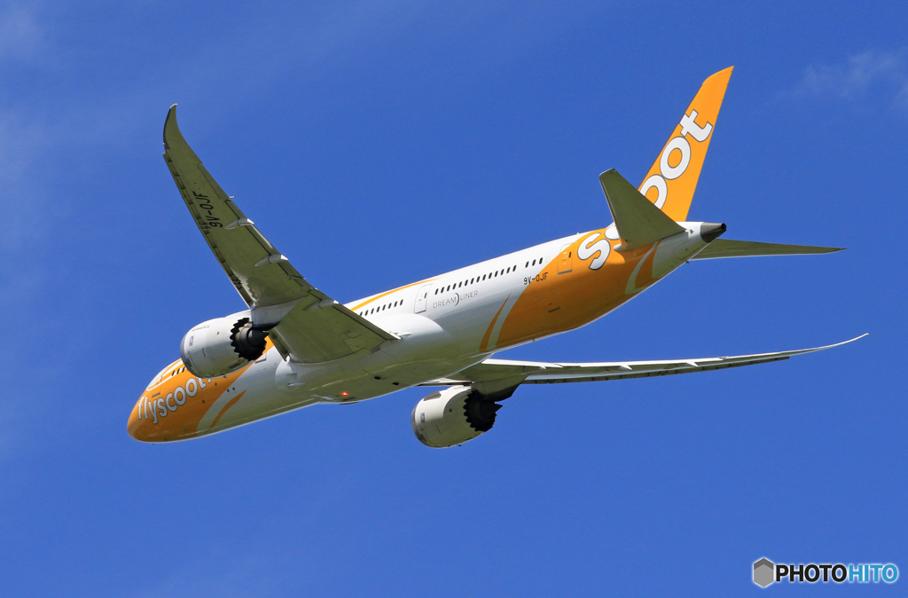 「あおいそら」 scoot 787-9 9V-OJF 出発です