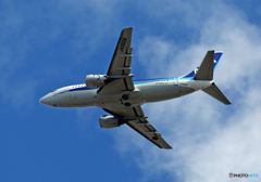 「SKY」 ANA 737-500 JA302K Takeoff
