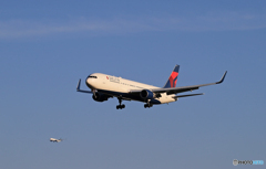 DELTA 767-332 N192DN  Landing「青色が好き」
