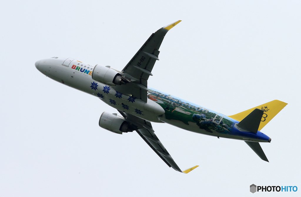 「くもり」ロイヤルブルネイ特別塗装 A320-251 Takeoff 