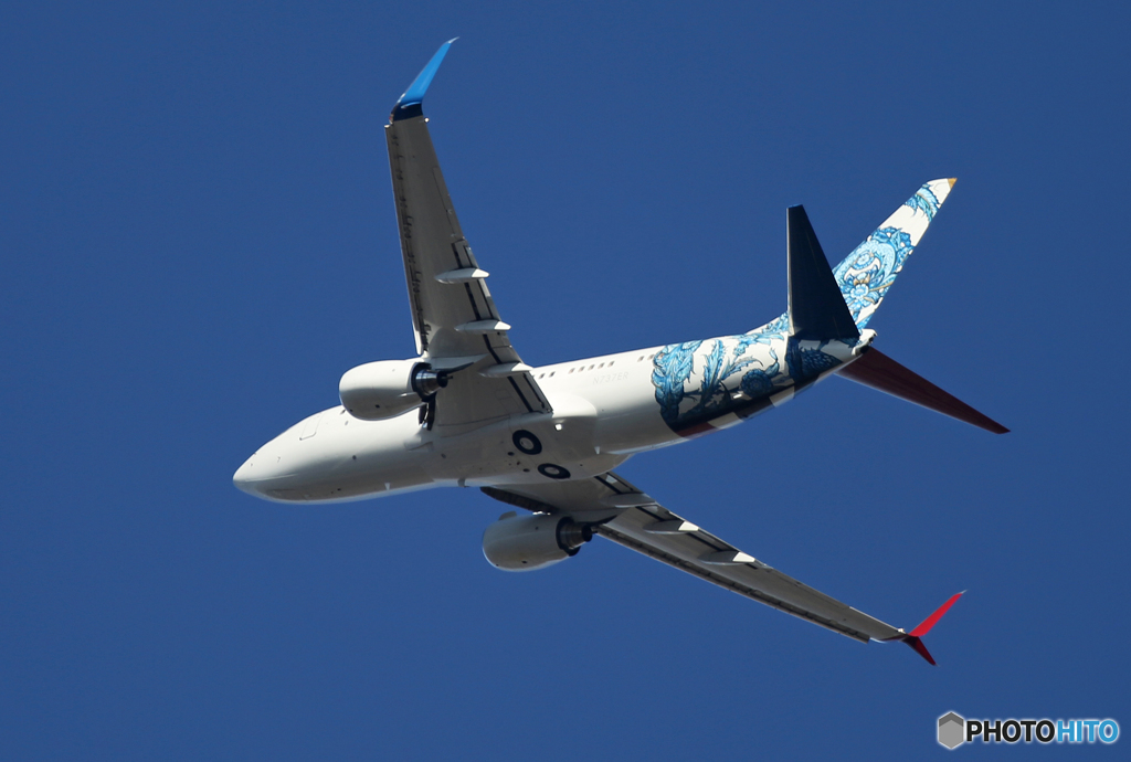 「晴れ」プライベート レア機 737 N737ER出発です