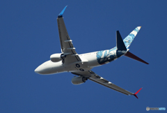 「晴れ」プライベート レア機 737 N737ER出発です