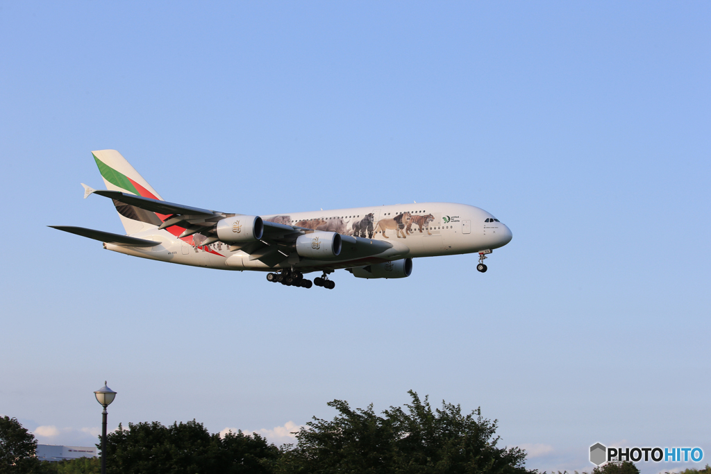 「SKY」エミレーツ特別塗装A380-861 A6-EEQ  到着