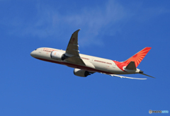 ☀「青い空」が一番 Air India 787-8 VT-ANM  離陸です