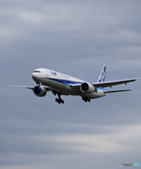 「良い天気」ANA 777-381 JA793A  Landing