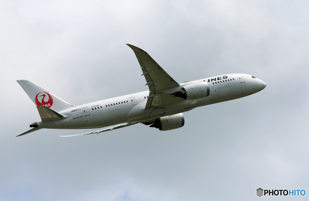 「すかい」 JAL 787-8 JA837J 飛び立ちです