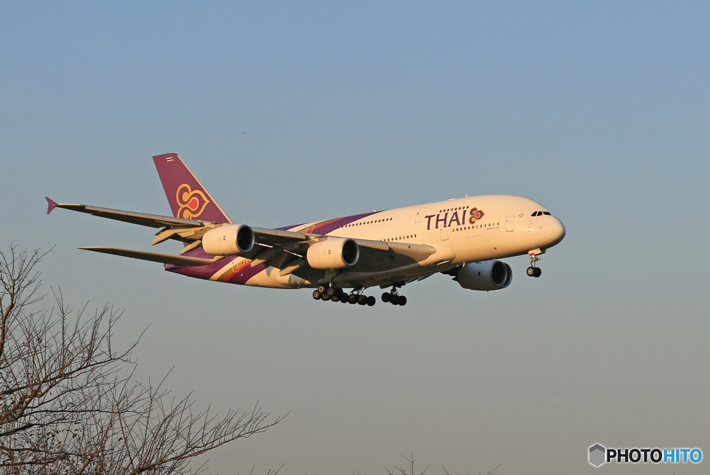 「スカイ」 THAI A380-841 HS-TUB Landing