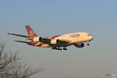 「スカイ」 THAI A380-841 HS-TUB Landing