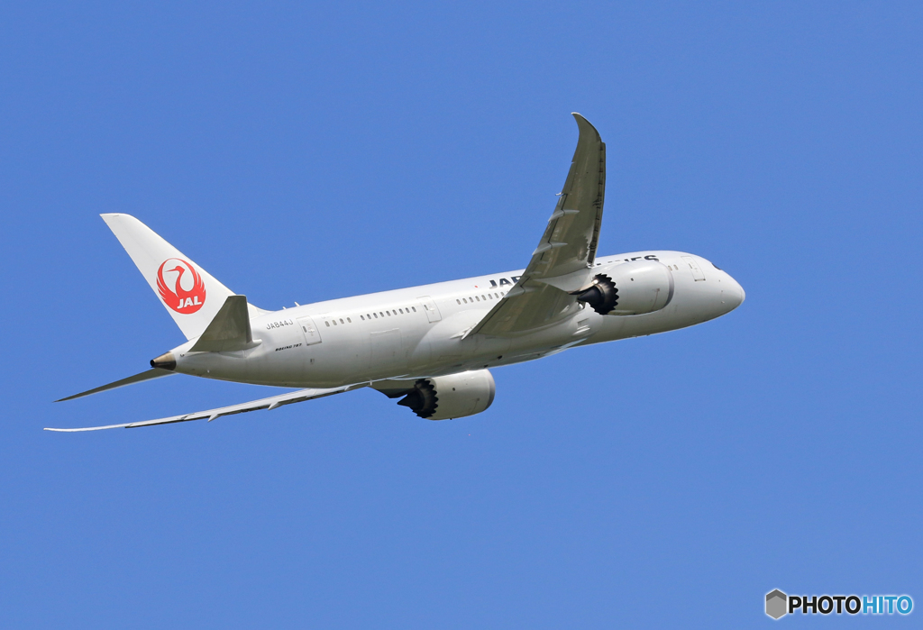 「ぶるー」 JAL 787-8 JA844J 飛行