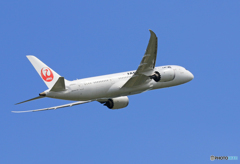 「ぶるー」 JAL 787-8 JA844J 飛行