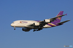 「青が好き」 THAI A380-841 HS-TUF 着地前