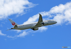 「真青の空」 JAL 787-9 JA871J 出発です