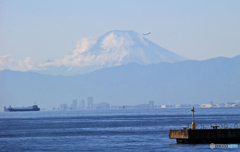 「そらー」　穏やかな東京湾とFujisan＋