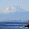 「そらー」　穏やかな東京湾とFujisan＋