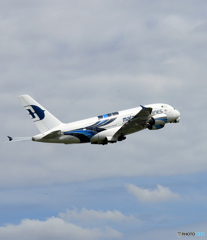 「群青色」 malaysia A380-841 9V-MNE 飛び立ちです
