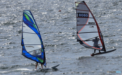 「青が好き」良い風が吹いて来た