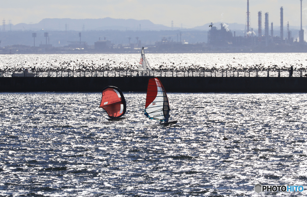 マリンロードの渡り鳥