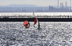 マリンロードの渡り鳥