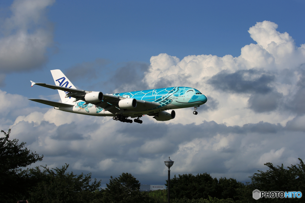 「青い日」　Flying Honu 夏の空 ✈スマイル・ランディング✈
