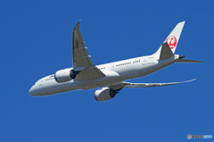 「SKY」 JAL 787-8 JA840J 離陸です
