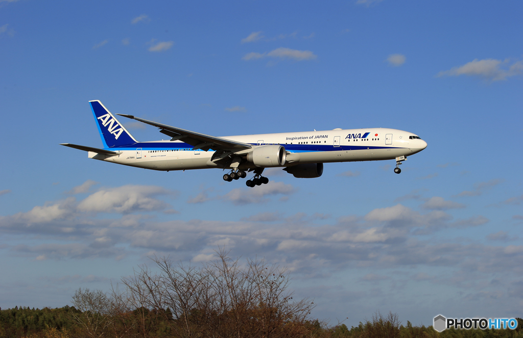 「真青の空」ANA 777-300 JA794A  Landing