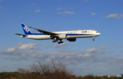 「真青の空」ANA 777-300 JA794A  Landing