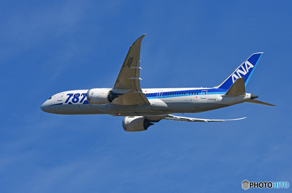 ☀「青い空」が一番 ANA 787-8 JA822A