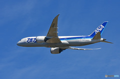 ☀「青い空」が一番 ANA 787-8 JA822A