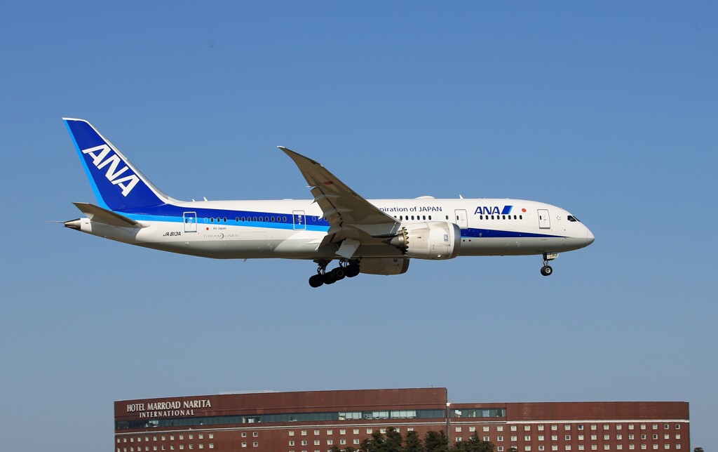 「青色」ANA 787-8 JA813A  Landing 