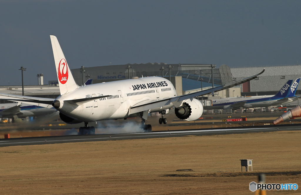 「雨」 JAL 787-8 JA821J 到着