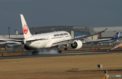 「雨」 JAL 787-8 JA821J 到着