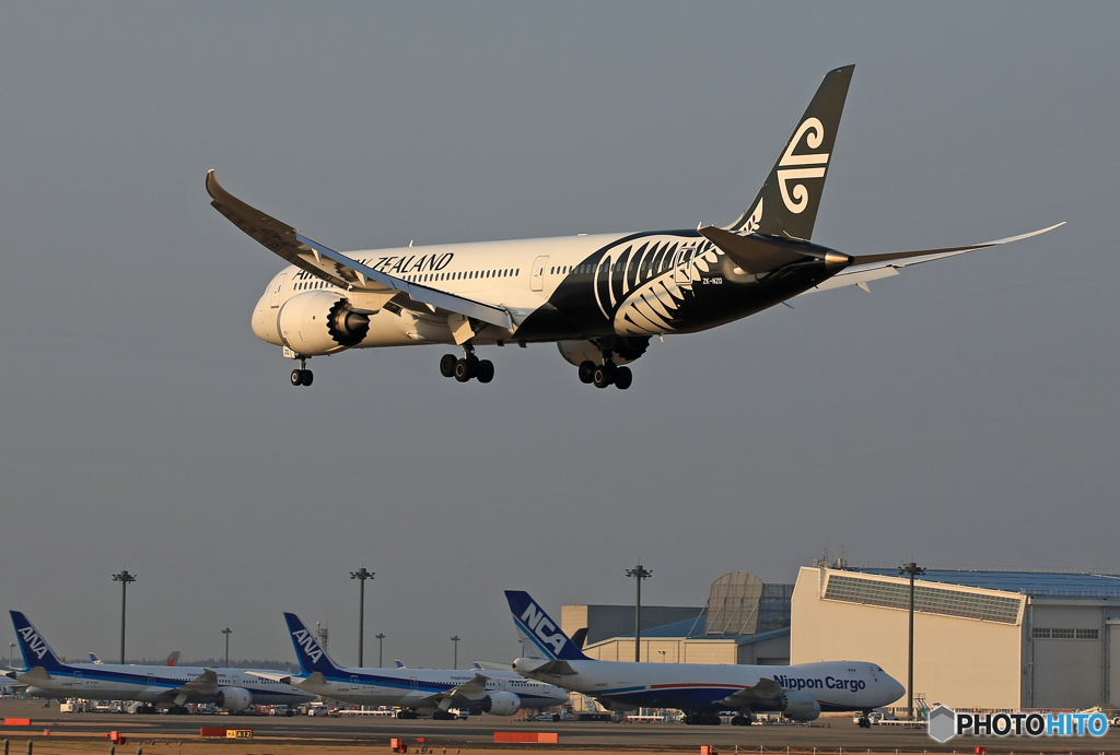 「青が大好き」 NZ' 787-9 ZK-NZD 空港・風景
