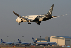 「青が大好き」 NZ' 787-9 ZK-NZD 空港・風景