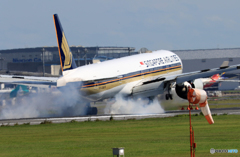 「青色が好き」 Singapore 787-10 9V-SWW 到着